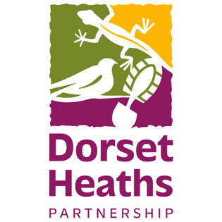 Dorset Heaths Partnership Official Logo